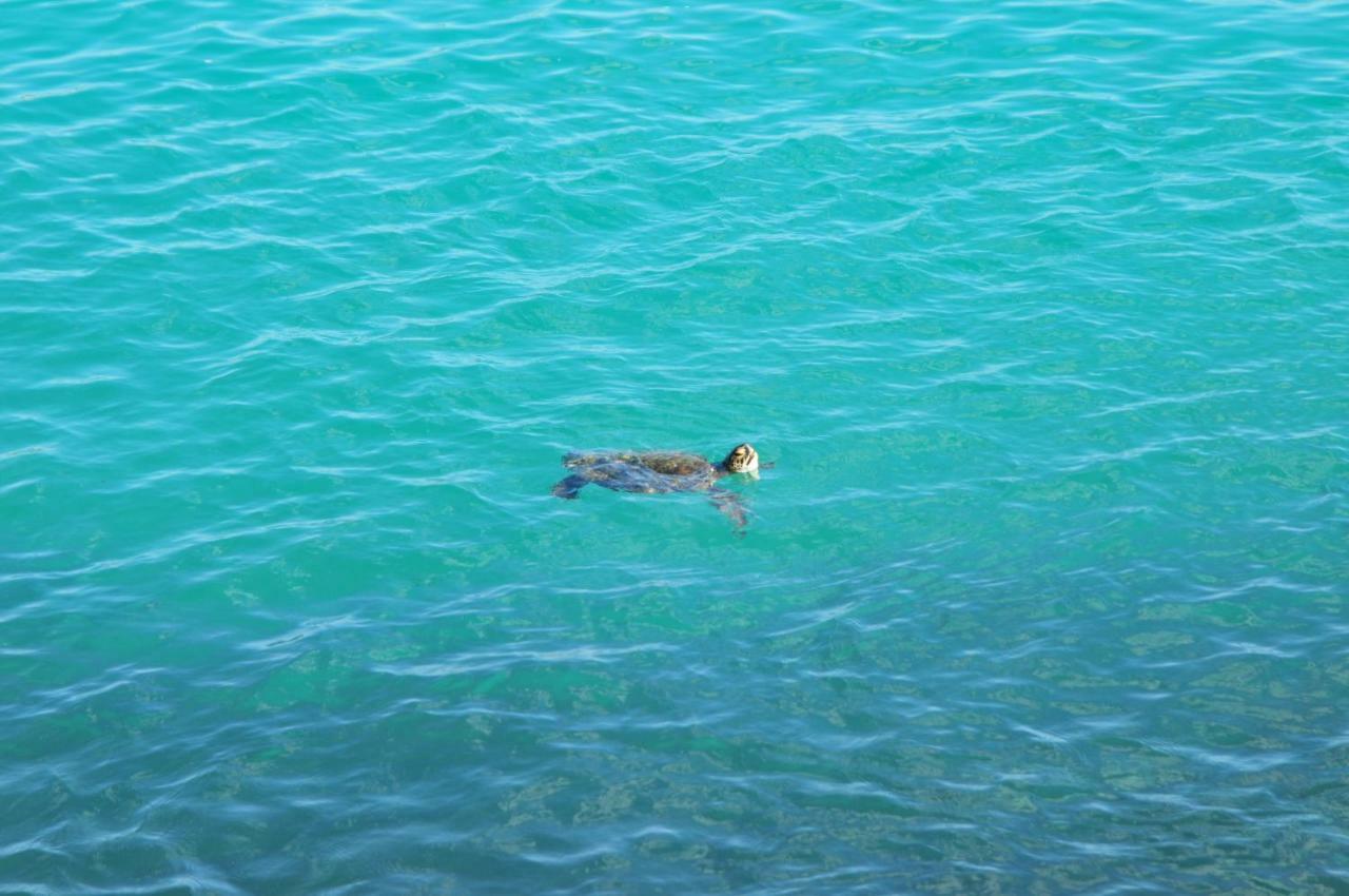 Canto Da Arvore 1 Arraial do Cabo Εξωτερικό φωτογραφία